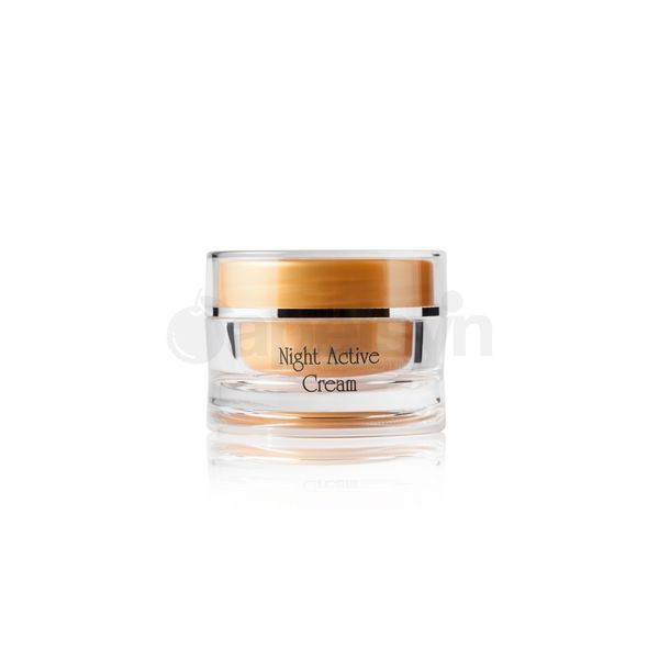 Renew Night Active Cream (НОЧНЫЙ АКТИВНЫЙ КРЕМ) 50ml RNAC-50 фото